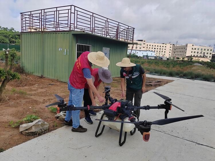 虎门农户：无人机助力喷药施肥