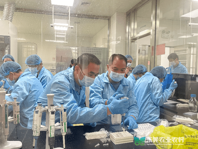 东莞市动物疫病采样检测技术“培训直通车”第四站驶入大朗