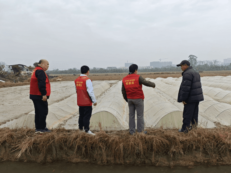 望牛墩：科技“加码”春耕 驱动乡村振兴引擎