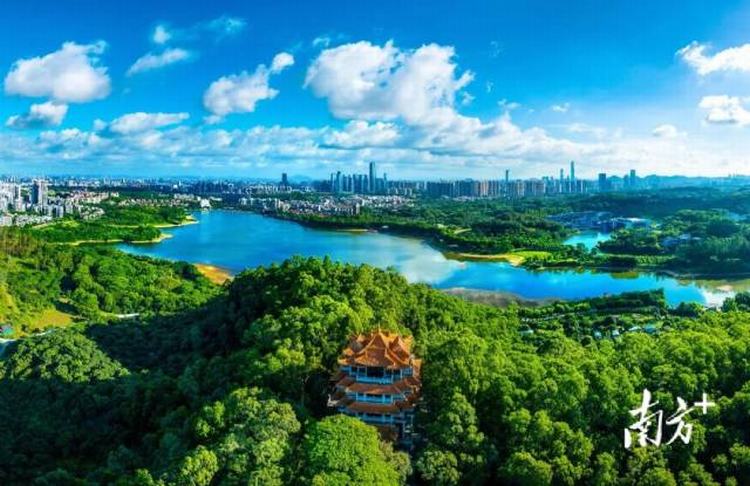 做好“水文章”，南城助力“百千万工程”落地见效