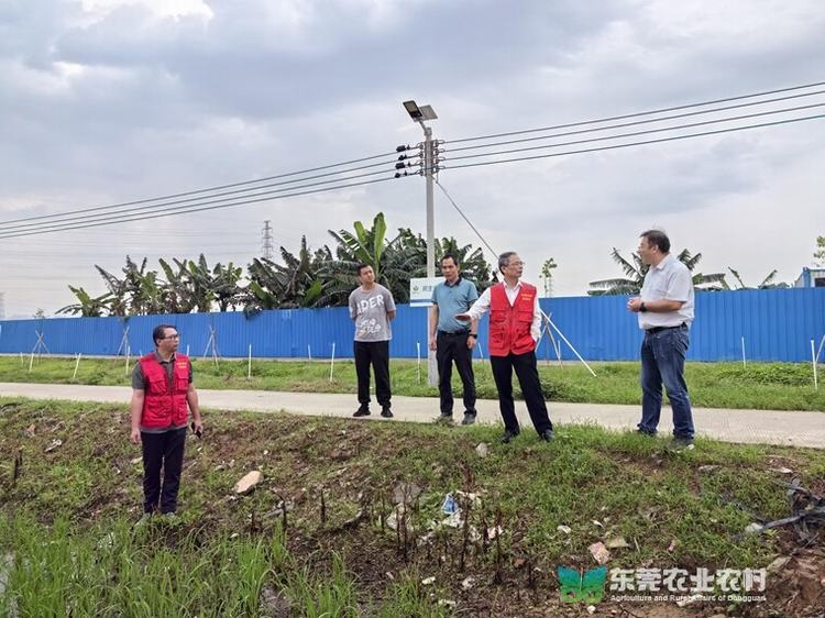 市农技办“轻骑兵”出招助力防灾减灾