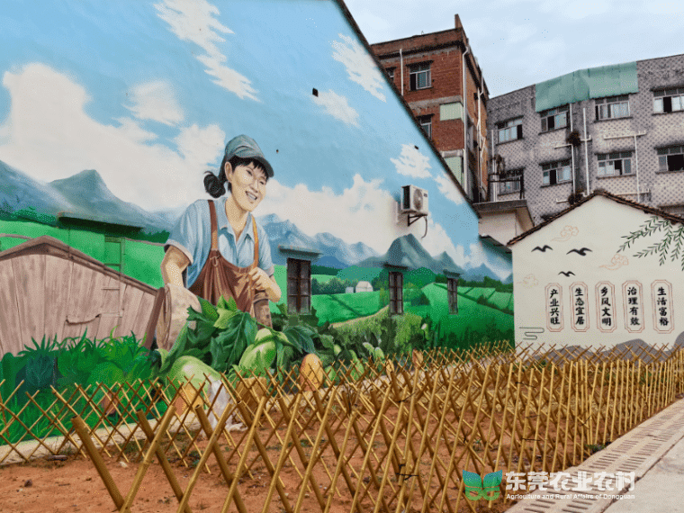 东坑：2024年农村人居环境品质提升“挂图作战”