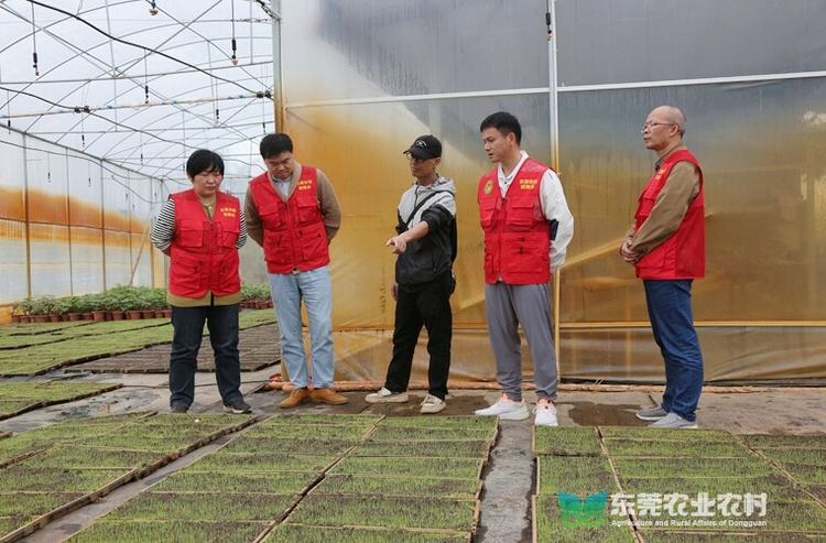 “轻骑兵”精准送服务，早造稻育秧有底气