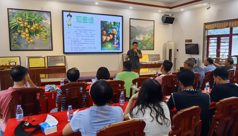 珠海斗门考察团赴樟木头镇考察荔枝产业高质量发展情况