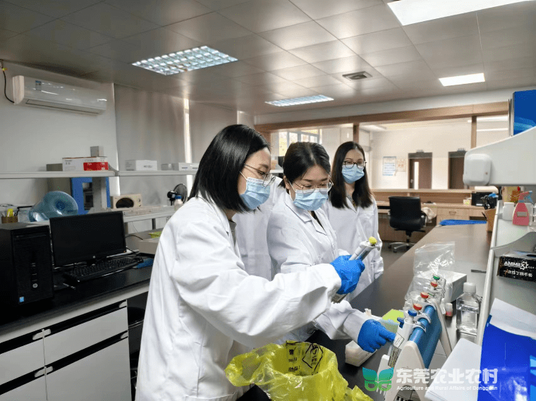 长安农技中心兽医实验室顺利通过县级兽医实验室考核