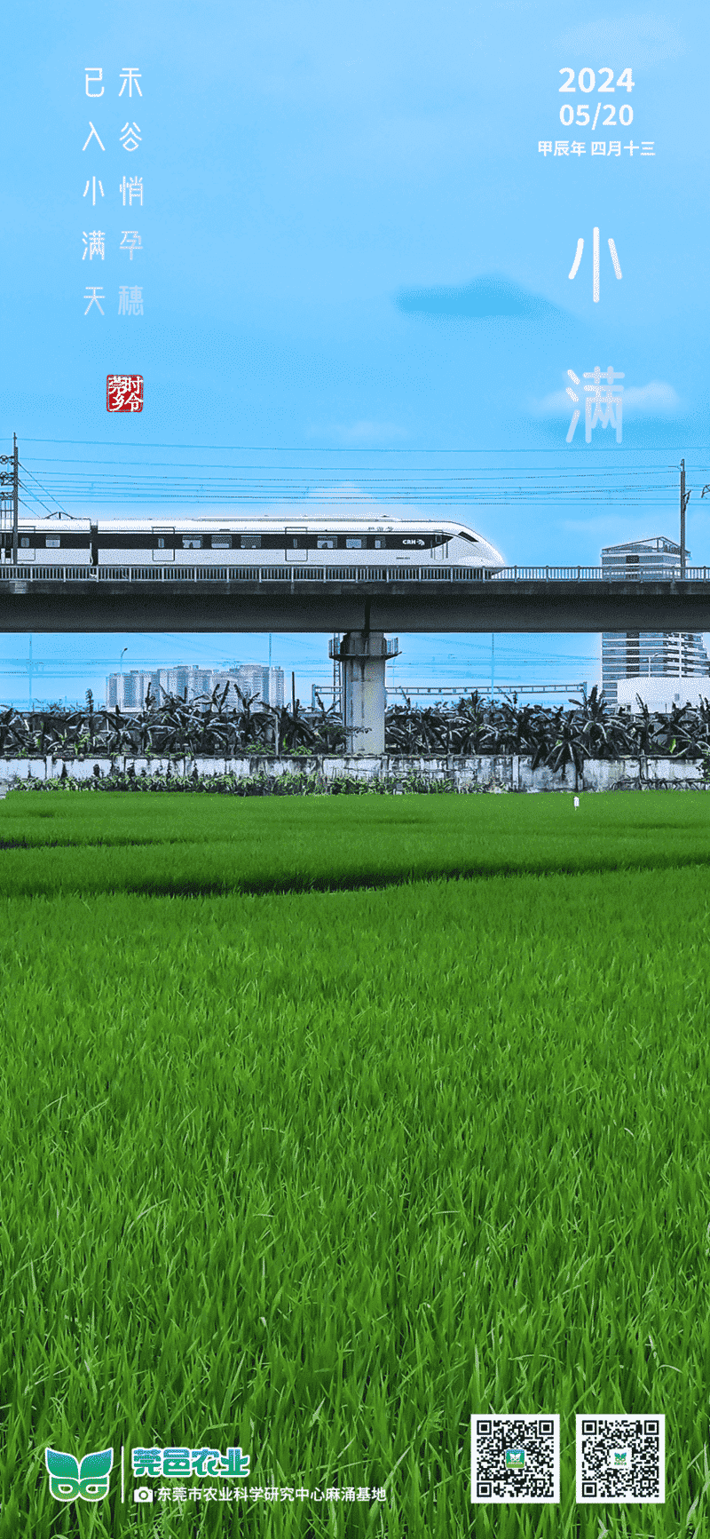 小满至：禾谷孕穗入佳境