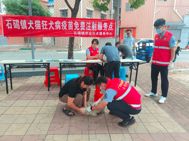 石碣农技“轻骑兵”乡村防疫行获称赞