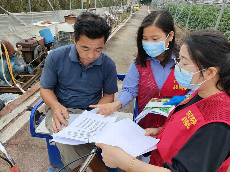 洪梅多举措强化重点品种豇豆监管力度