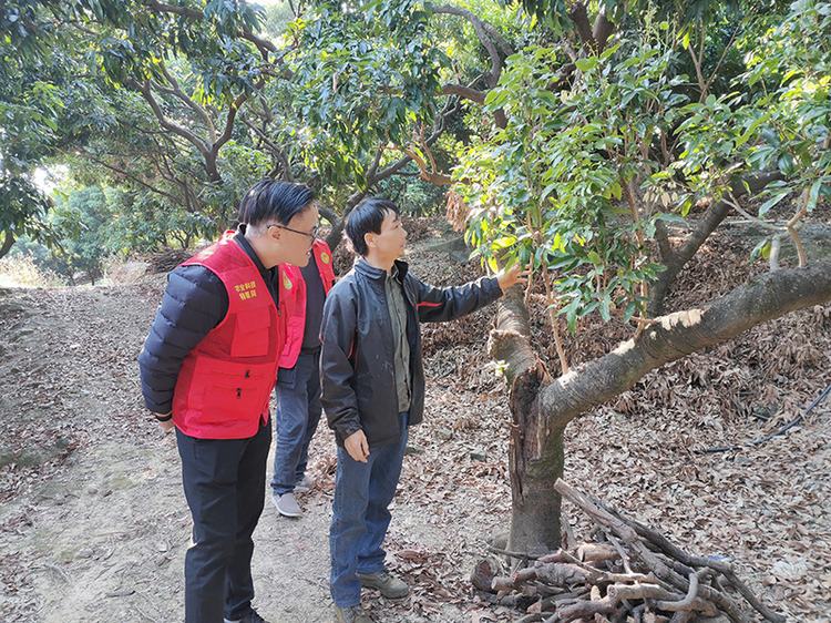 农业科技特派员走进典型村，扎根果场山头问需解难