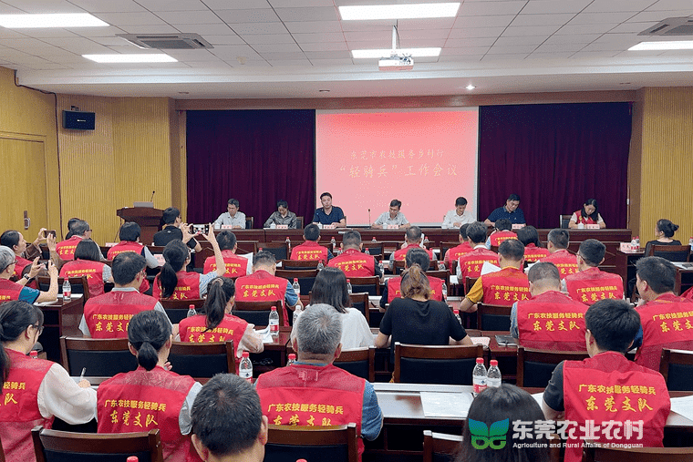 东莞以逐级统筹建强农技服务“轻骑兵”，工作开启新征程