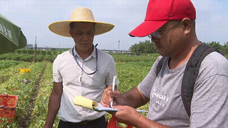 加大蔬菜农药残留抽检力度 筑牢市民“菜篮子”安全防线