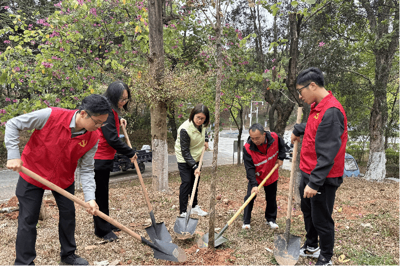 石龙启动2025年乡村绿化主题植树活动