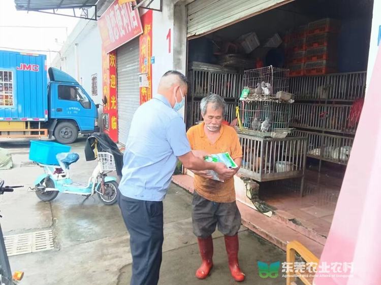 石碣扎实开展“五一”节前消毒灭原工作