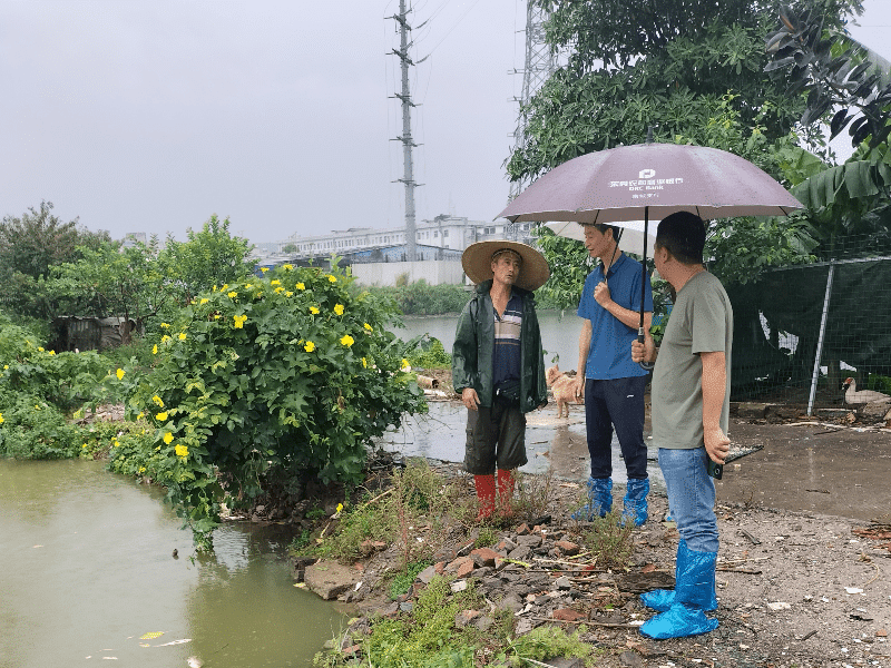 养殖场惊现不明病因死鱼，技术人员火速上门排忧解难