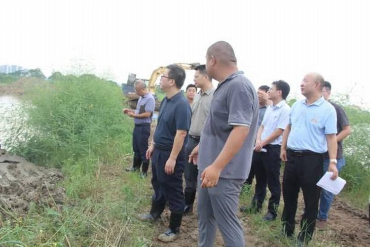 道滘镇领导率队开展巡河、巡林、巡田行动