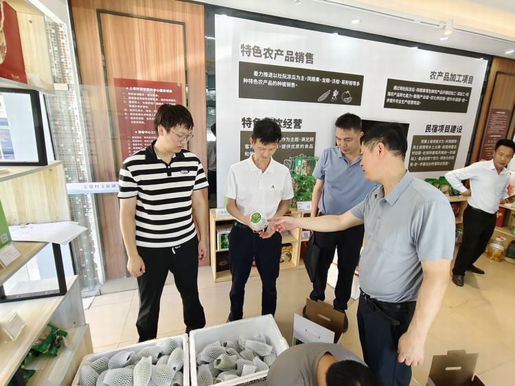 市农技办赴江门调研粮食生产经验 赋能农业高质量发展