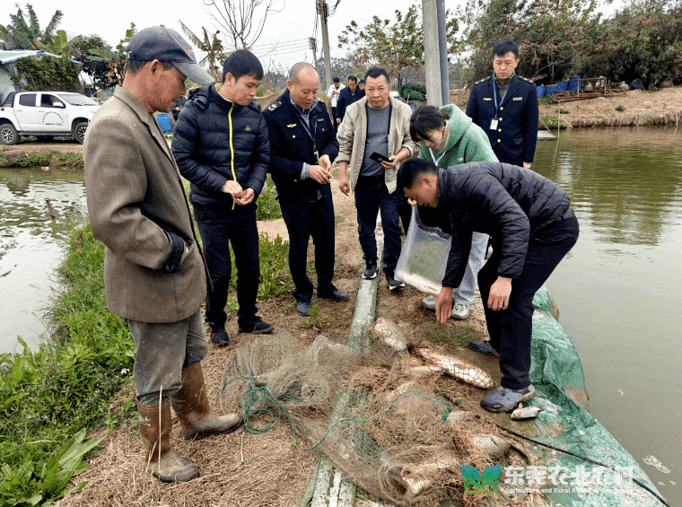 道滘积极协助开展省级水产品质量安全监测抽检工作