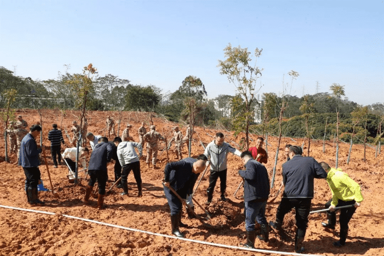 厚植生态底色，长安“植”入绿色发展新活力