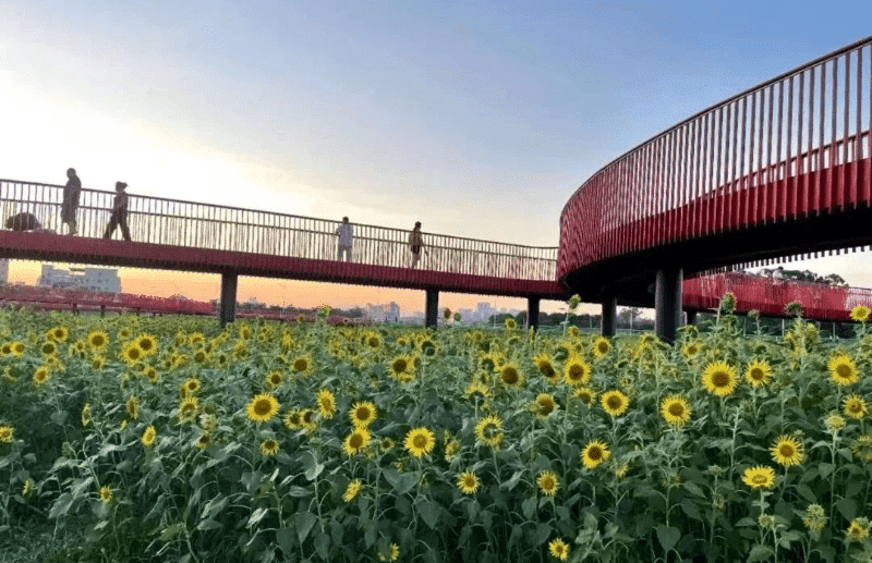 踏入凤凰岗，解锁古村新韵“合伙人”密码！