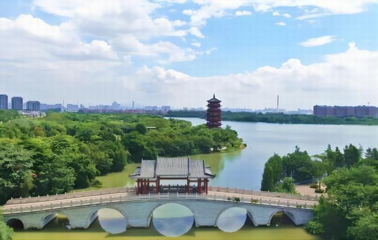夏日麻涌：蓝天白云绘就“治愈系”画卷