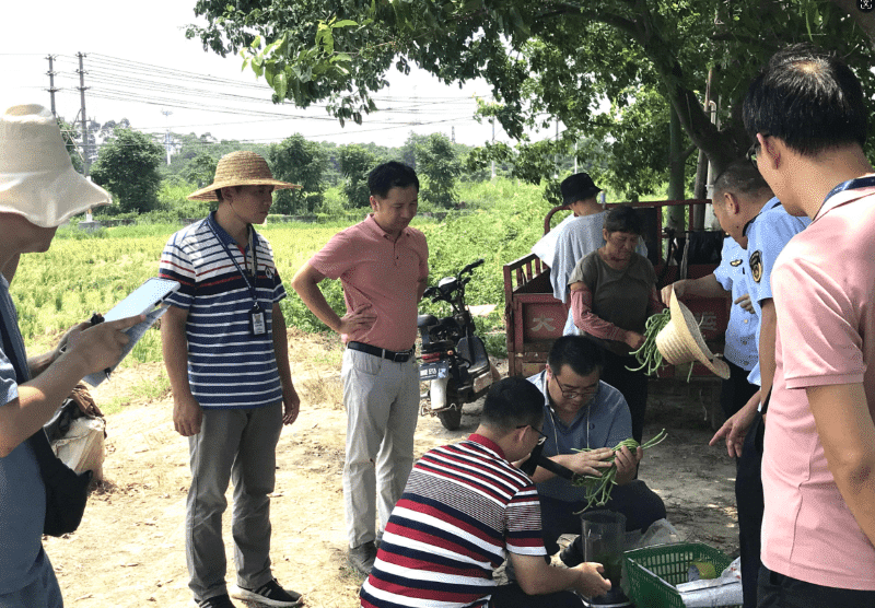 农业农村部赴万江街道开展豇豆专项监督抽检工作