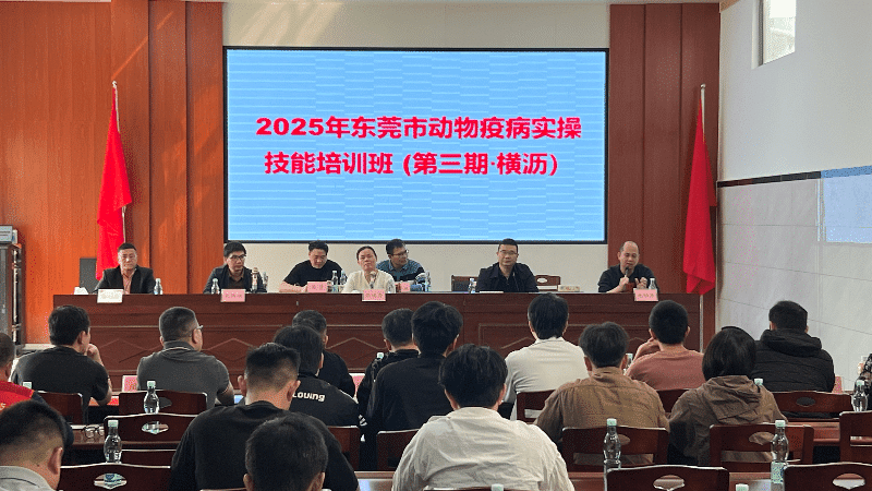 横沥：五百年牛墟“变身”防疫知识“新讲台”