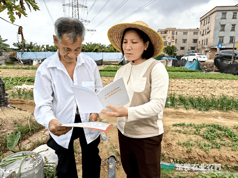 道滘扎实推进农药科学安全使用指导工作