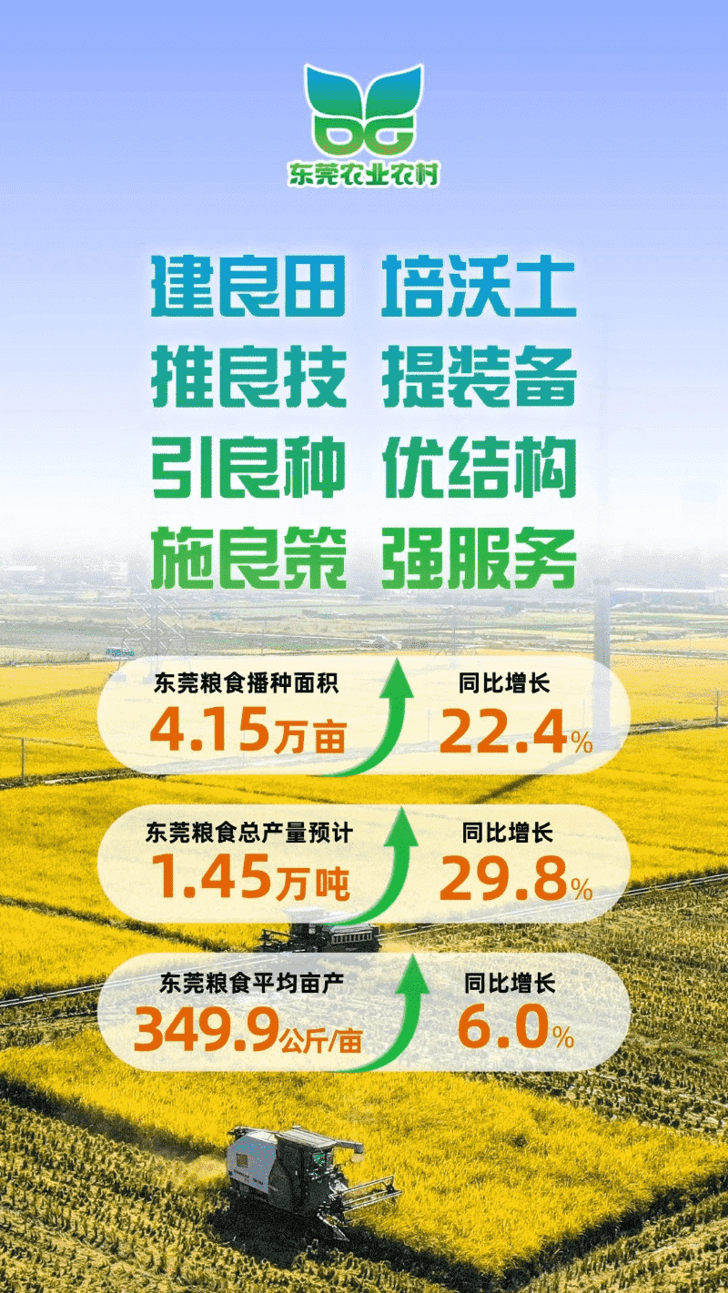 东莞以“四良”促“三增”，全方位筑牢粮食安全根基