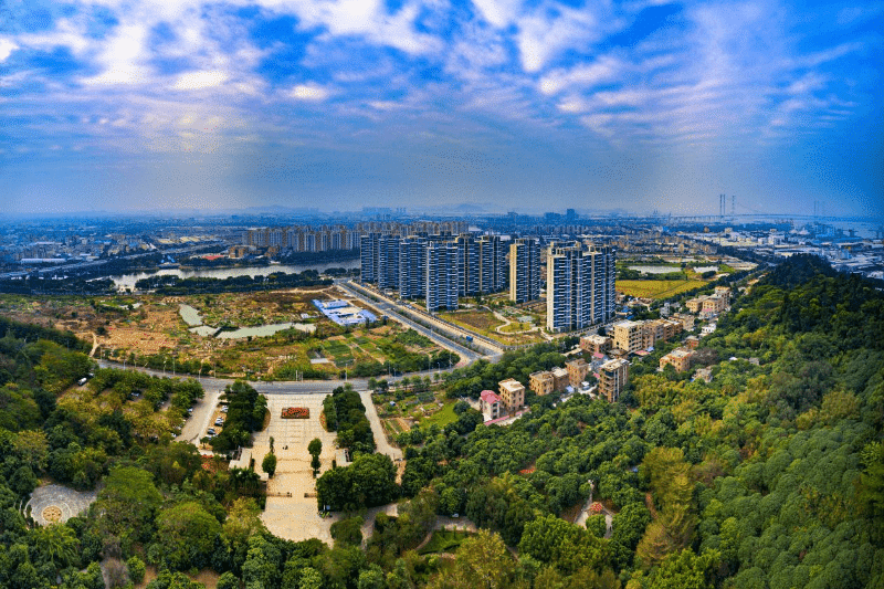 守护绿水青山，绘就阇西绿美新画卷