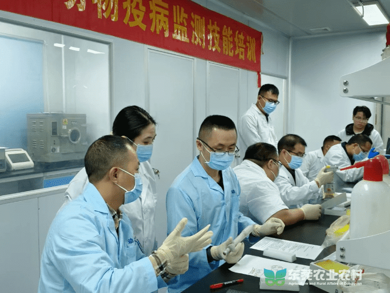 “吹响”基层监测“哨音” 筑牢公共卫生安全屏障