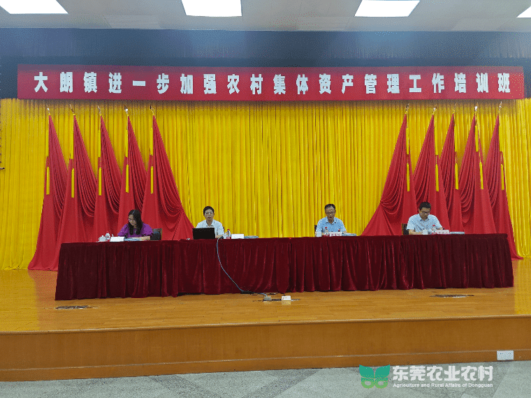 大朗开展农村财务培训，筑牢村集体“钱袋子”安全防线