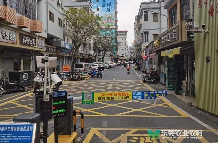 乡村振兴新招：“围合停车”模式巧解治理难题