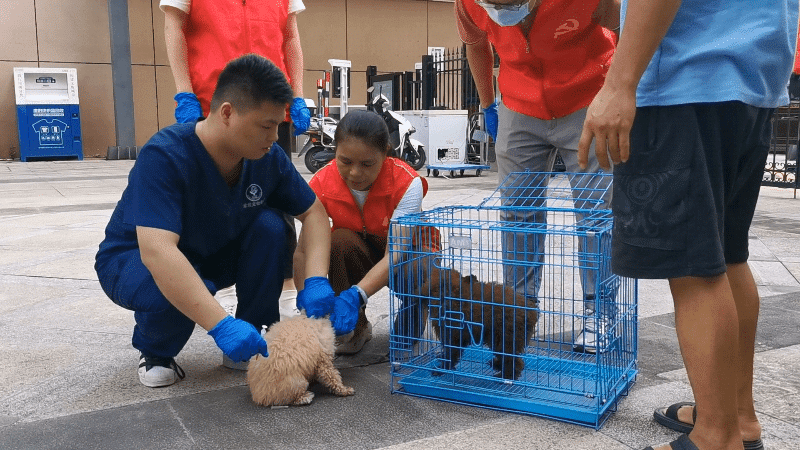 秋防号角吹响，志愿行动启航