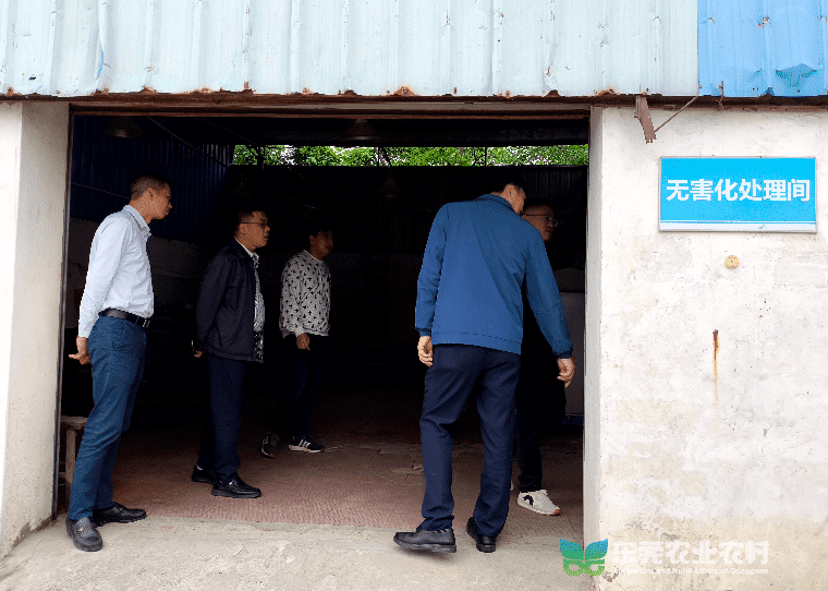 市农业农村局赴道滘检查病死禽畜无害化处理工作