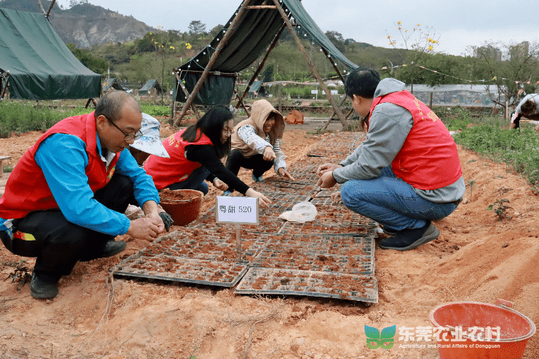 市农技“轻骑兵”携良种良技，助力春耕生产