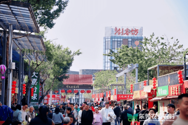 超200万人热选！东莞乡村休闲产业开局飘红