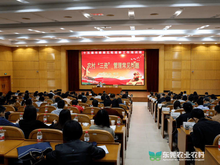 市农资办受邀为巡察干部开展巡前专题培训