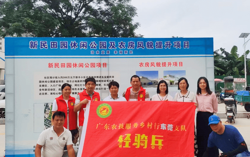 市镇携手共建“美丽庭院”，共绘“花乡”新画卷