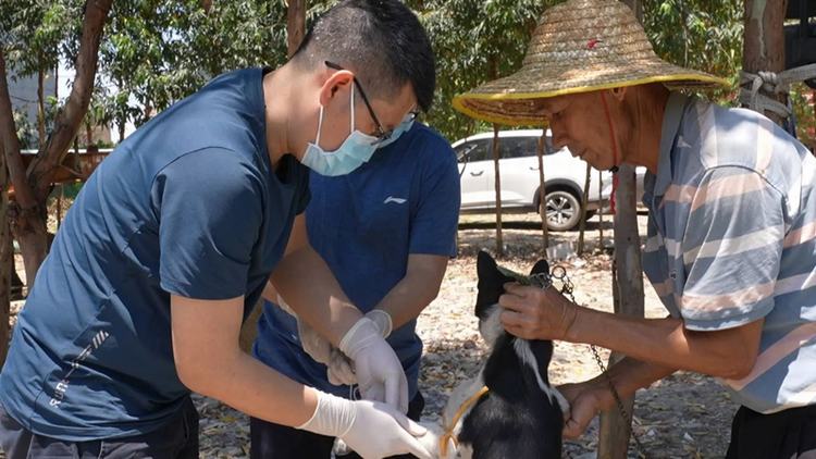 沙田镇：开展动物防疫评估，推进文明养宠宣传