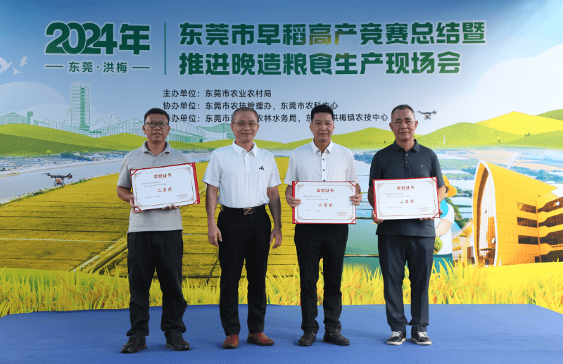 寮步强化粮食种植综合指导，斩获2024东莞早稻高产竞赛活动二等奖
