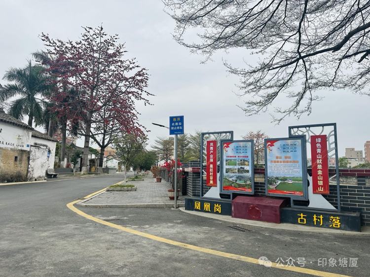 抢先看！塘厦凤凰岗古村即将大变样效果图