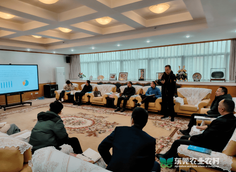 闻令出击，挺进精致石龙·魅力名镇宠物经济“新蓝海”