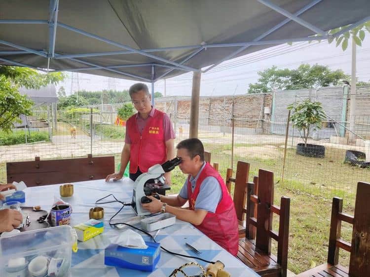 市渔业“轻骑兵”现身塘头支招，全力助推澳洲淡水龙虾产业发展