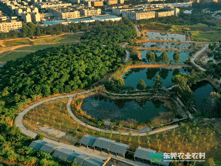 长安逐“绿”，铺展“百千万工程”绿美新图景