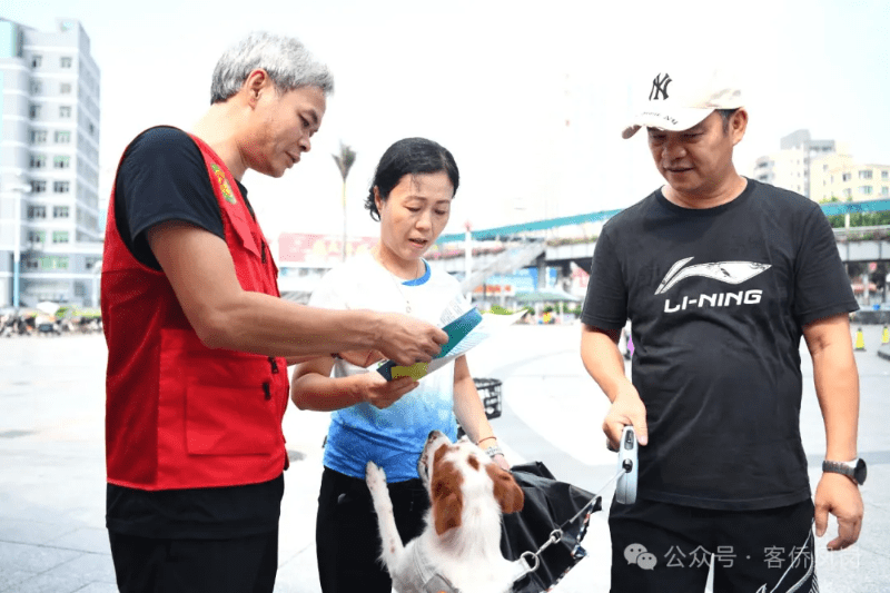 凤岗积极行动，全力防控狂犬病！