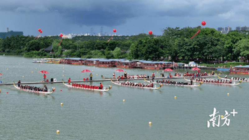 《东莞龙舟：不止是民俗运动》