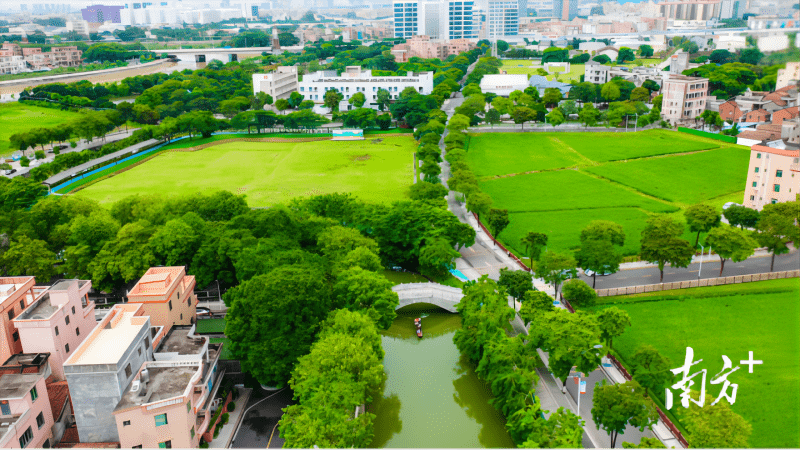 道滘镇大岭丫村：党建领航，美丽乡村“破茧蝶变”