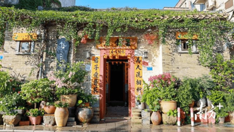 寮步横坑社区“妙招”频出，推进“美丽庭院”建设