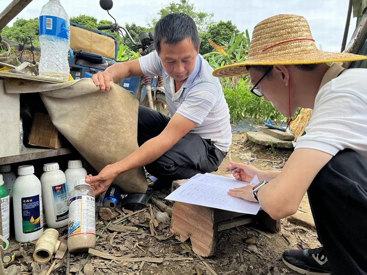 横沥强化重点品种“豇豆”质量监测