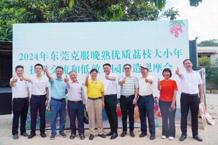 隔年交替结果技术：助力荔枝小年稳产又增收